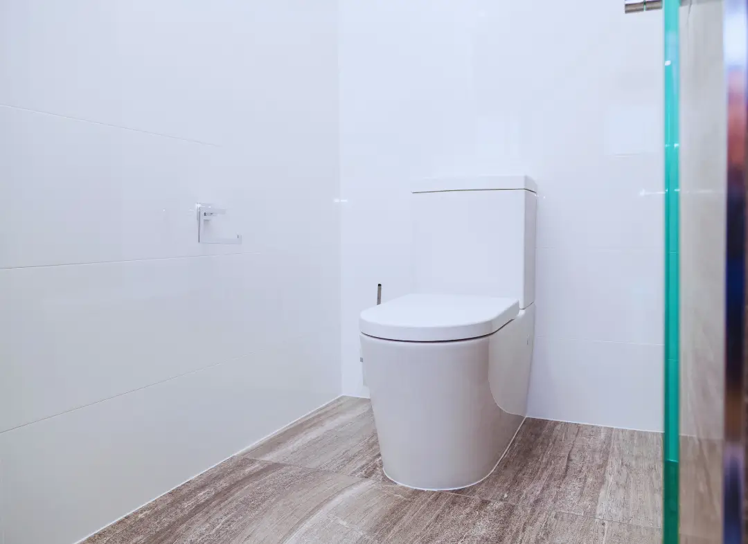 Remplacement de wc Auzeville-Tolosane