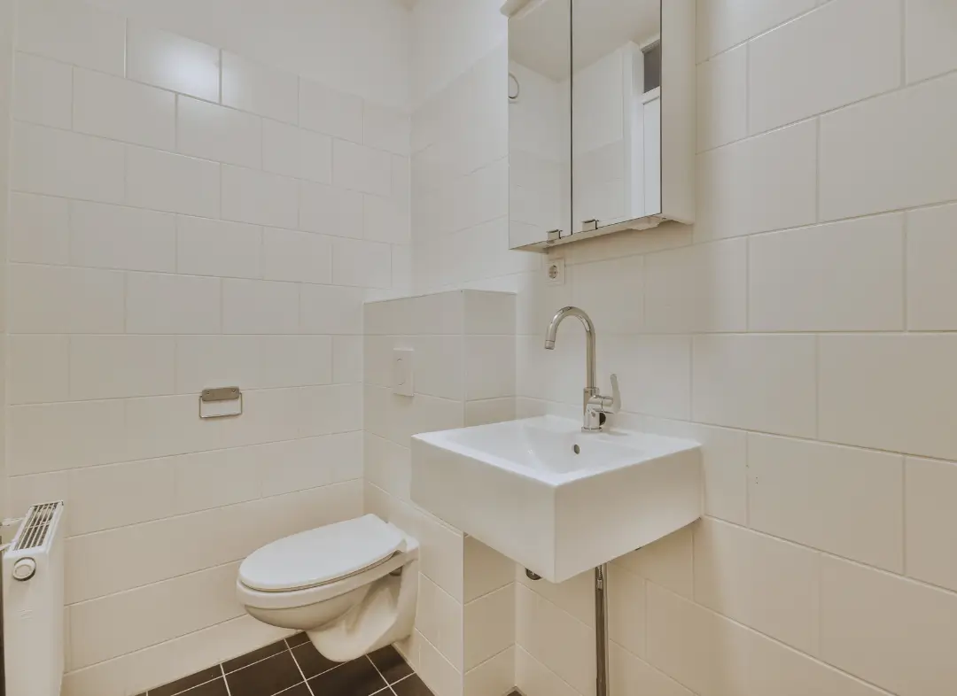 Pose WC Suspendu Auzeville-Tolosane